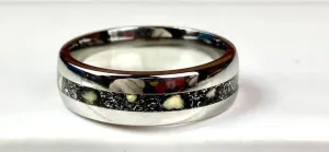 Titanium Dinosaur Bone and Meteorite
